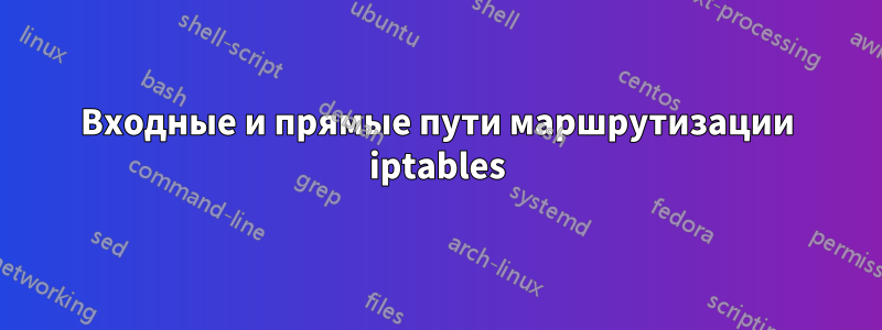 Входные и прямые пути маршрутизации iptables