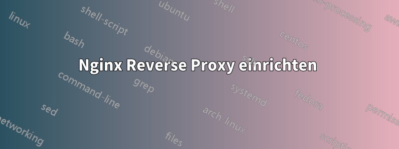 Nginx Reverse Proxy einrichten