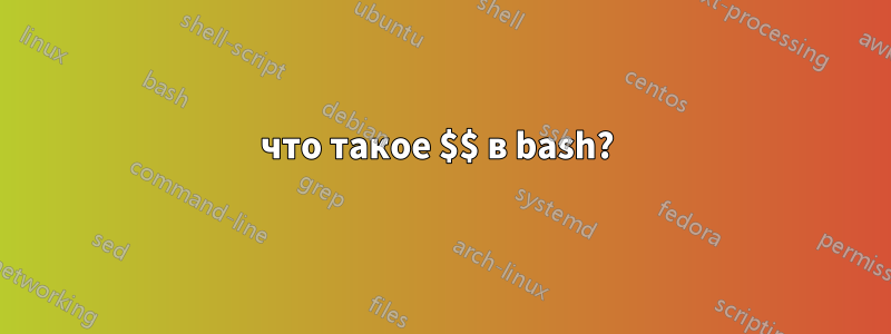 что такое $$ в bash? 