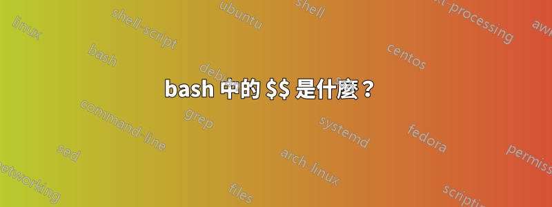 bash 中的 $$ 是什麼？ 