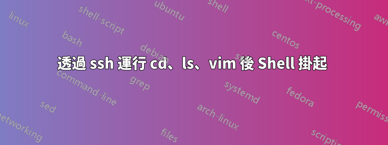 透過 ssh 運行 cd、ls、vim 後 Shell 掛起