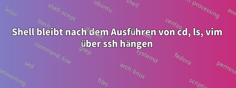 Shell bleibt nach dem Ausführen von cd, ls, vim über ssh hängen