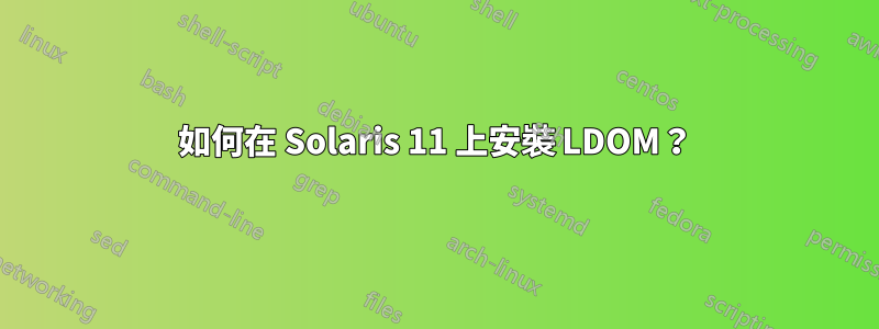 如何在 Solaris 11 上安裝 LDOM？