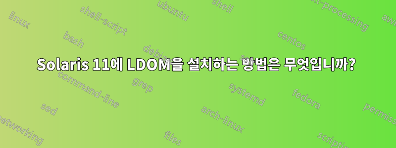 Solaris 11에 LDOM을 설치하는 방법은 무엇입니까?