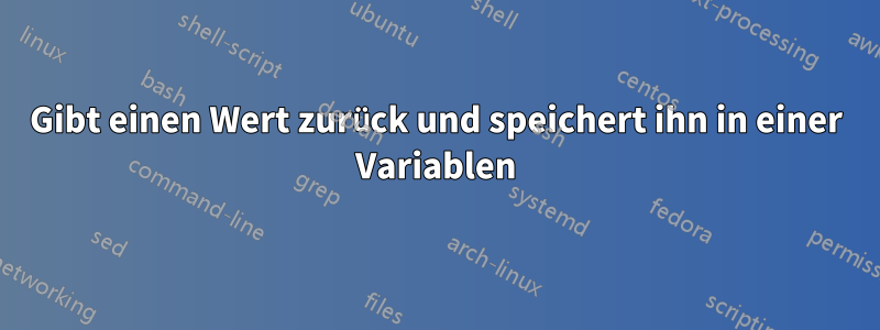 Gibt einen Wert zurück und speichert ihn in einer Variablen