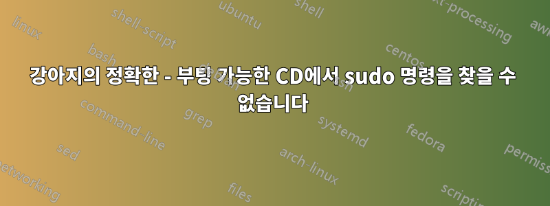 강아지의 정확한 - 부팅 가능한 CD에서 sudo 명령을 찾을 수 없습니다