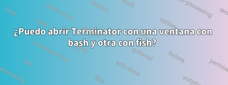 ¿Puedo abrir Terminator con una ventana con bash y otra con fish? 