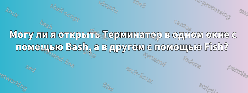 Могу ли я открыть Терминатор в одном окне с помощью Bash, а в другом с помощью Fish? 