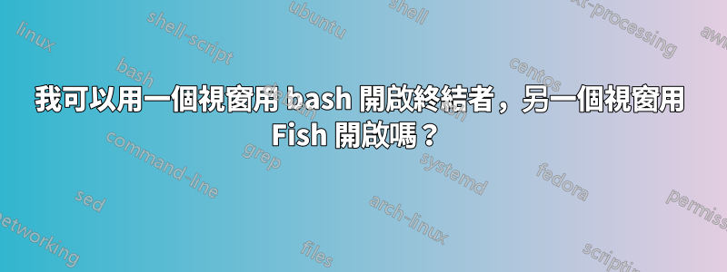 我可以用一個視窗用 bash 開啟終結者，另一個視窗用 Fish 開啟嗎？ 