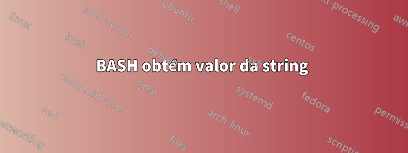 BASH obtém valor da string