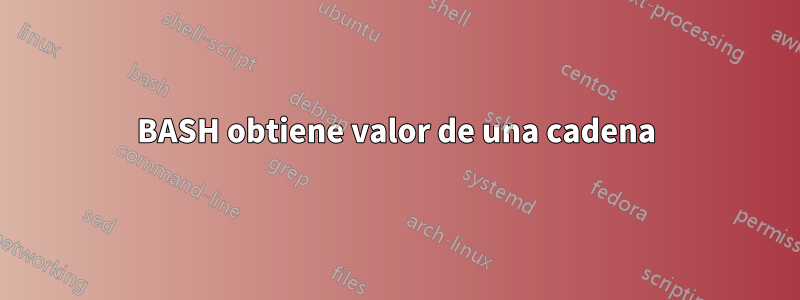 BASH obtiene valor de una cadena