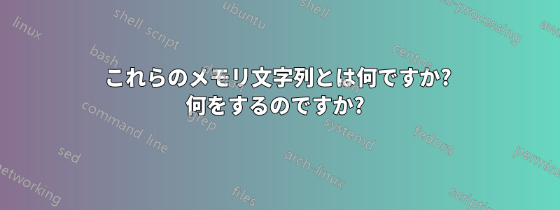 これらのメモリ文字列とは何ですか? 何をするのですか? 