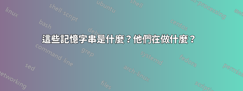 這些記憶字串是什麼？他們在做什麼？ 