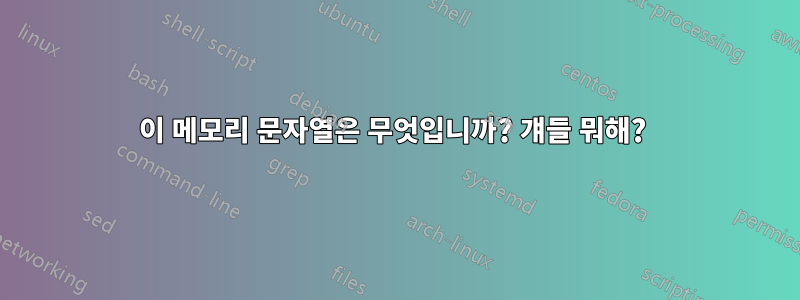 이 메모리 문자열은 무엇입니까? 걔들 뭐해? 