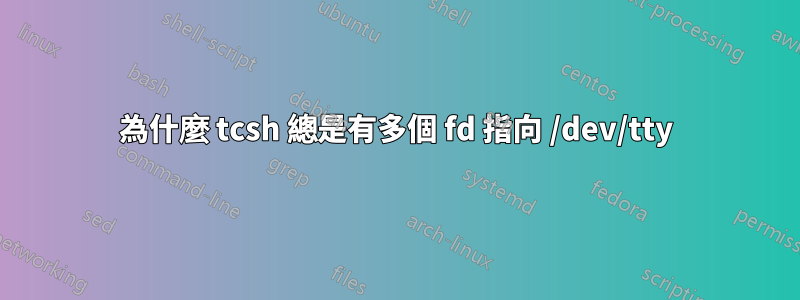 為什麼 tcsh 總是有多個 fd 指向 /dev/tty