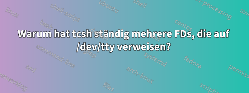 Warum hat tcsh ständig mehrere FDs, die auf /dev/tty verweisen?