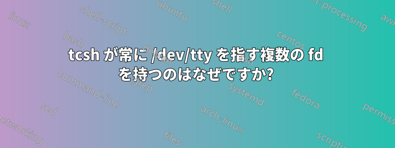 tcsh が常に /dev/tty を指す複数の fd を持つのはなぜですか?