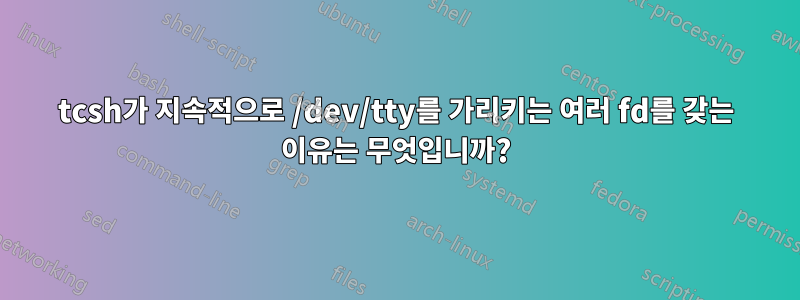 tcsh가 지속적으로 /dev/tty를 가리키는 여러 fd를 갖는 이유는 무엇입니까?