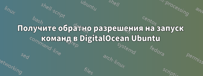 Получите обратно разрешения на запуск команд в DigitalOcean Ubuntu