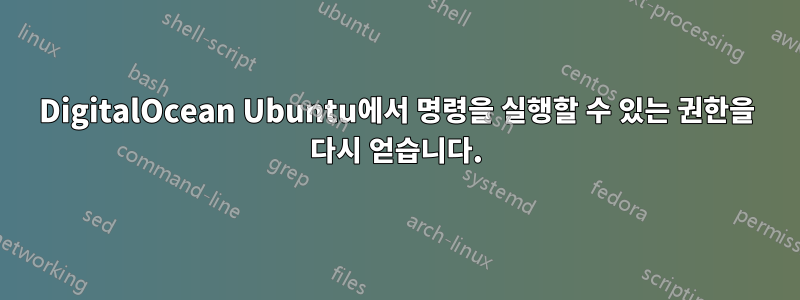 DigitalOcean Ubuntu에서 명령을 실행할 수 있는 권한을 다시 얻습니다.