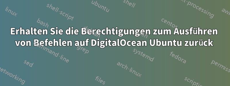 Erhalten Sie die Berechtigungen zum Ausführen von Befehlen auf DigitalOcean Ubuntu zurück