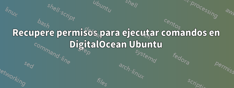 Recupere permisos para ejecutar comandos en DigitalOcean Ubuntu