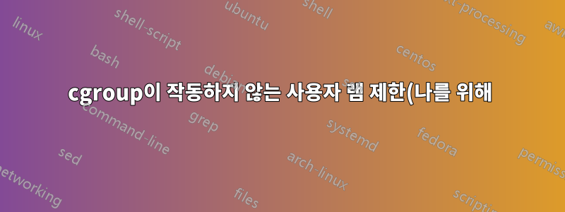 cgroup이 작동하지 않는 사용자 램 제한(나를 위해)