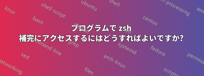 プログラムで zsh 補完にアクセスするにはどうすればよいですか?