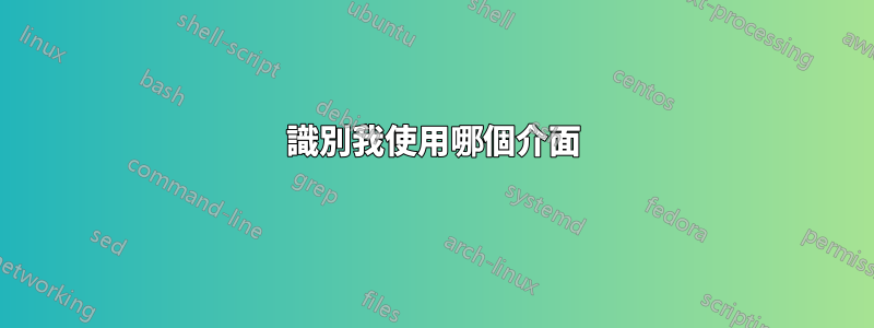 識別我使用哪個介面