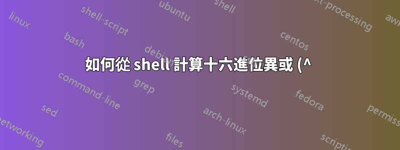 如何從 shell 計算十六進位異或 (^)?