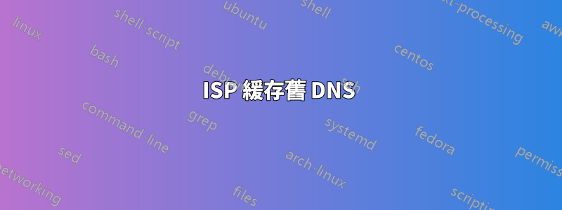 ISP 緩存舊 DNS