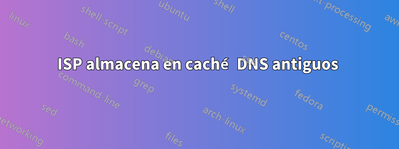 ISP almacena en caché DNS antiguos