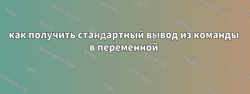 как получить стандартный вывод из команды в переменной
