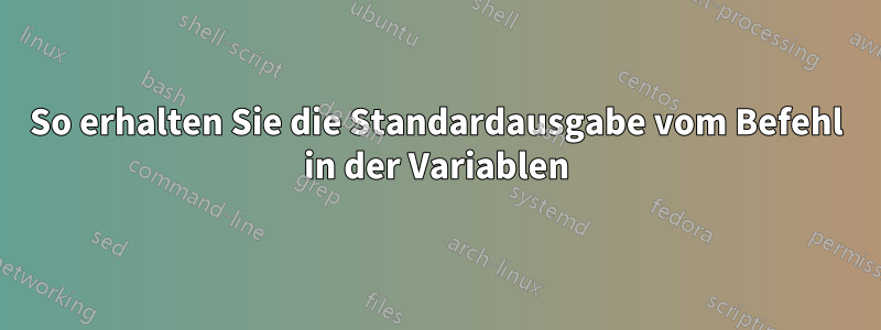 So erhalten Sie die Standardausgabe vom Befehl in der Variablen