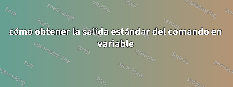 cómo obtener la salida estándar del comando en variable