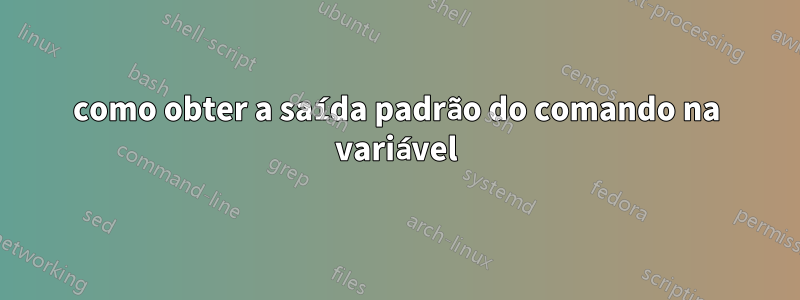 como obter a saída padrão do comando na variável