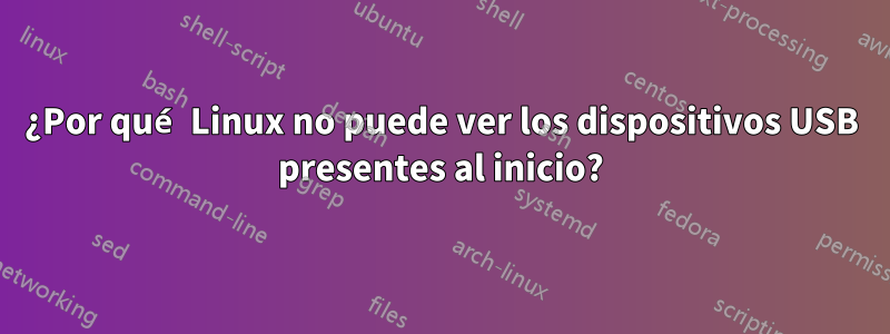 ¿Por qué Linux no puede ver los dispositivos USB presentes al inicio?