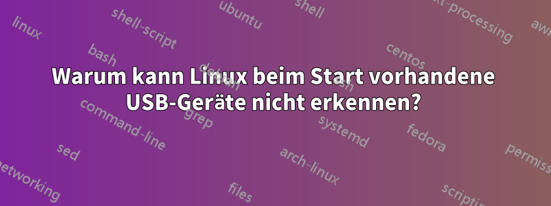 Warum kann Linux beim Start vorhandene USB-Geräte nicht erkennen?