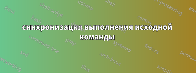 синхронизация выполнения исходной команды