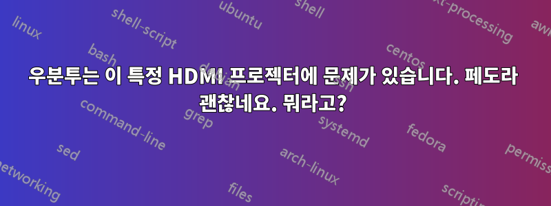 우분투는 이 특정 HDMI 프로젝터에 문제가 있습니다. 페도라 괜찮네요. 뭐라고?