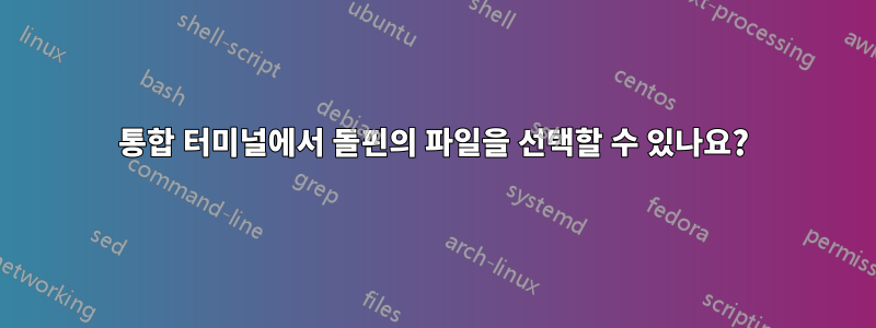 통합 터미널에서 돌핀의 파일을 선택할 수 있나요?