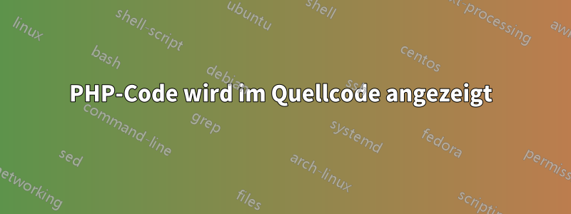 PHP-Code wird im Quellcode angezeigt 