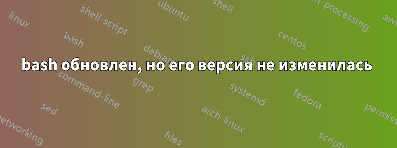 bash обновлен, но его версия не изменилась