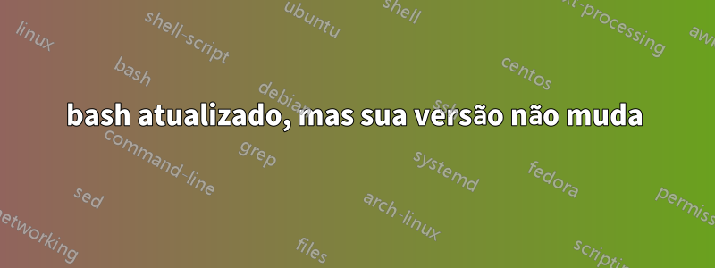 bash atualizado, mas sua versão não muda