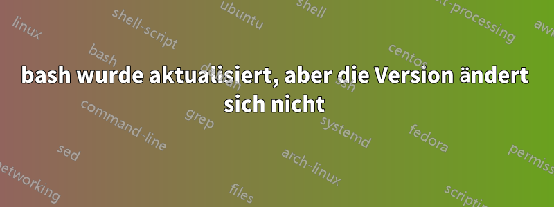 bash wurde aktualisiert, aber die Version ändert sich nicht