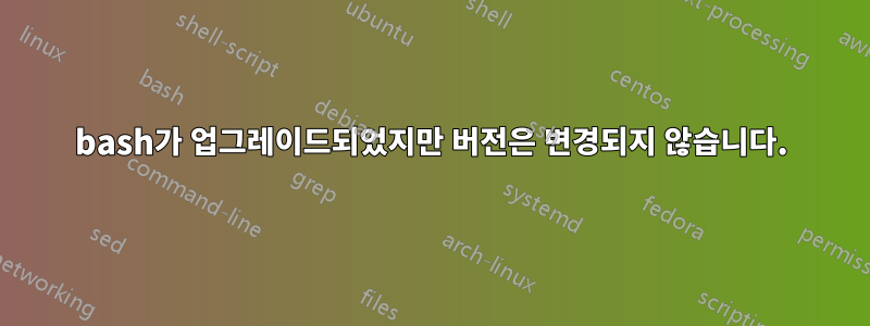 bash가 업그레이드되었지만 버전은 변경되지 않습니다.