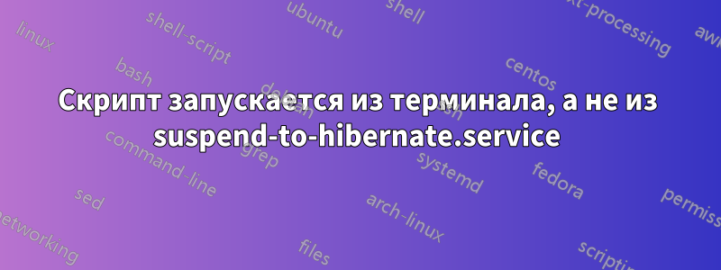Скрипт запускается из терминала, а не из suspend-to-hibernate.service