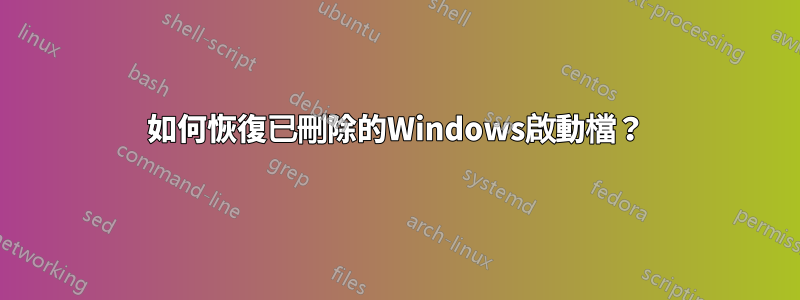 如何恢復已刪除的Win​​dows啟動檔？