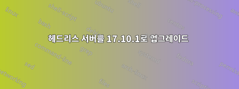헤드리스 서버를 17.10.1로 업그레이드