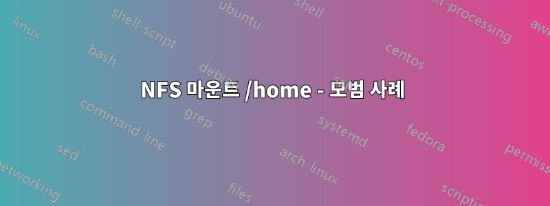 NFS 마운트 /home - 모범 사례